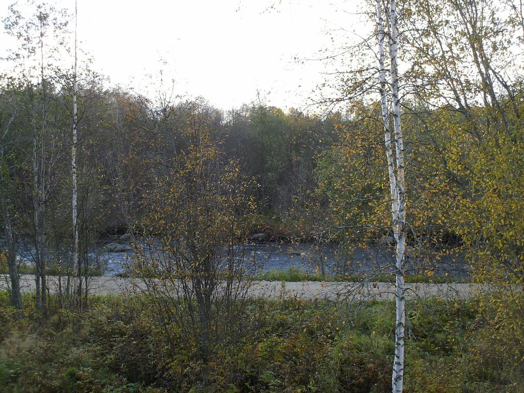 Pihlajamaeen Lomamoekit Vanhakyla Esterno foto